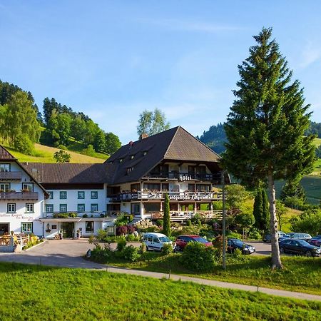 Landhaus Langeck มึนสเตอร์ทัล ภายนอก รูปภาพ